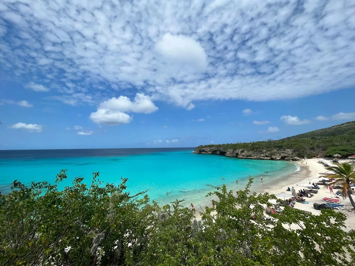 Lagoon Ocean Resort 2 Bdrm/2Bath With Beach Access 拉贡 0*,